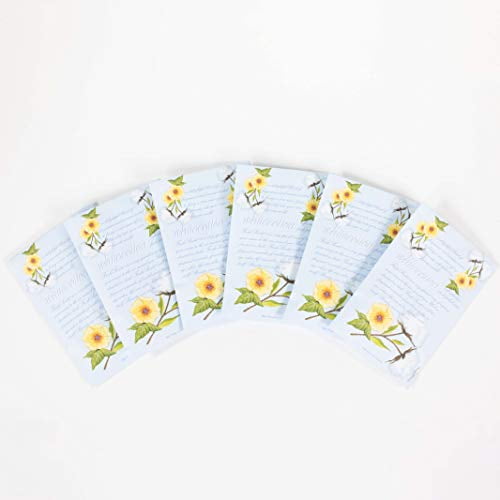 WILLOWBROOK Fresh Scents Scented Sachets White Cotton WILLOWBROOK Fresh Scents Scented Sachets White Cotton